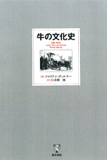 ����ʸ����